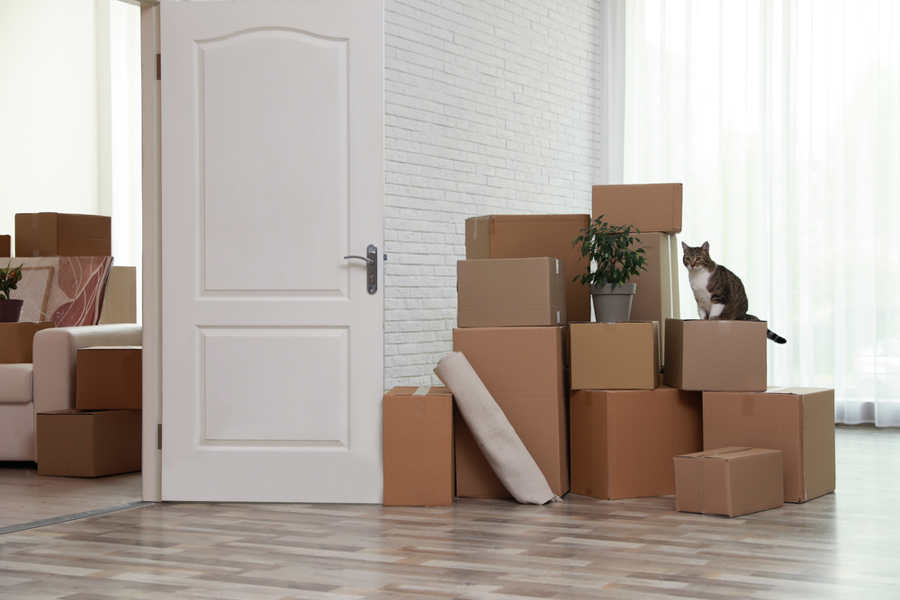 Pet-Friendly Moves